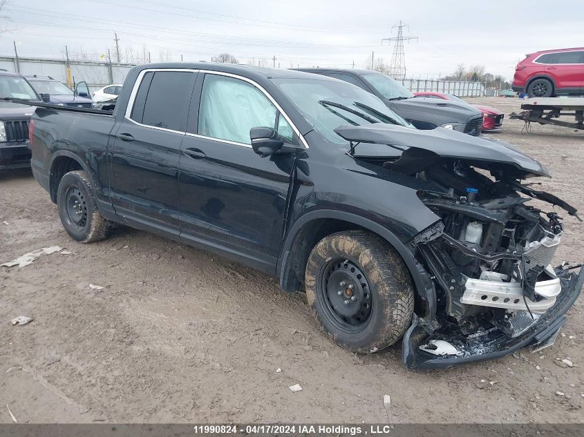 2019 Honda Ridgeline Rtl VIN: 5FPYK3F51KB505784 Lot: 11990824