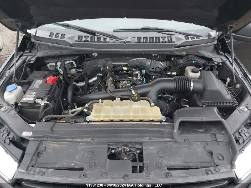 2019 Ford F-150 Xlt VIN: 1FTEW1EP1KKE00835 Lot: 11991238