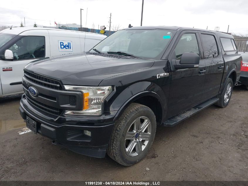 2019 Ford F-150 Xlt VIN: 1FTEW1EP1KKE00835 Lot: 11991238