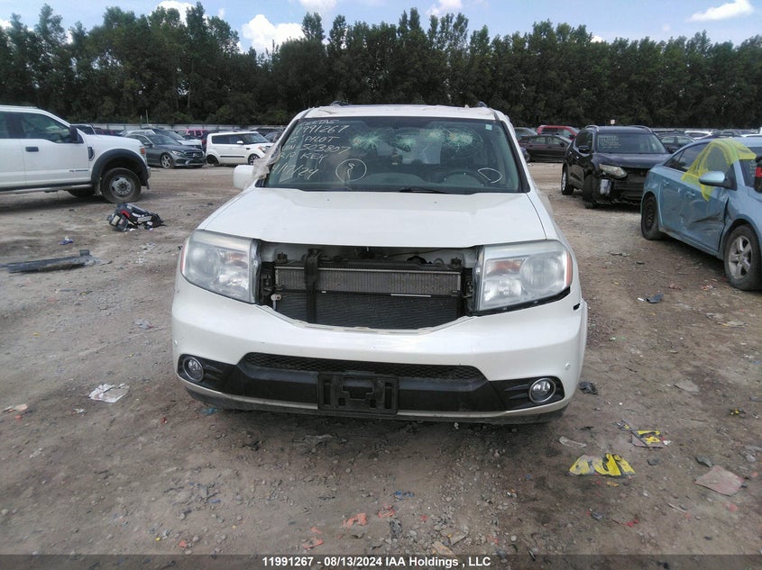 2015 Honda Pilot VIN: 5FNYF4H99FB503807 Lot: 11991267