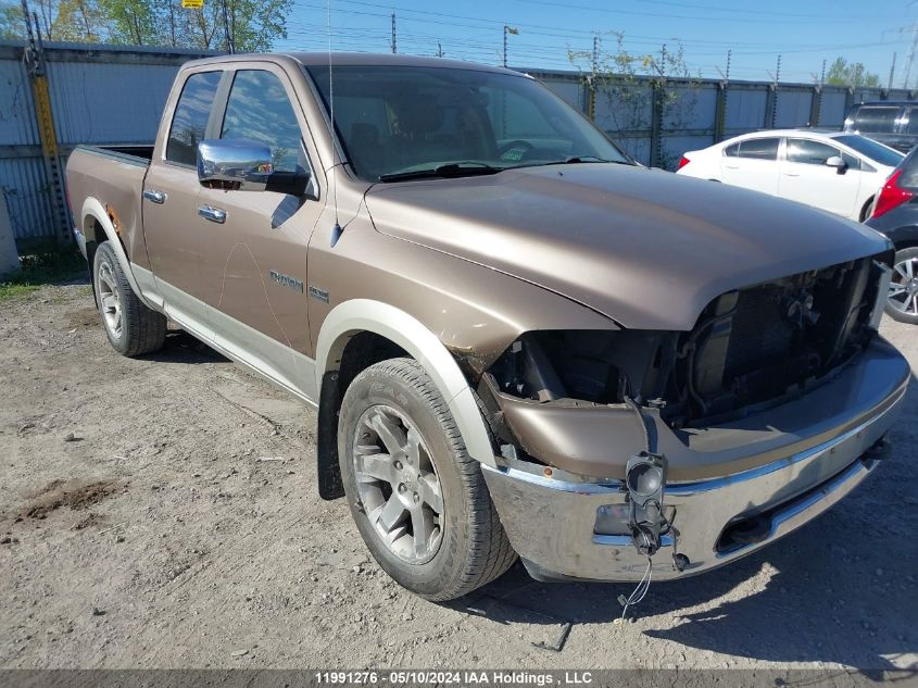 2009 Dodge Ram 1500 VIN: 1D3HV18T49S764922 Lot: 11991276