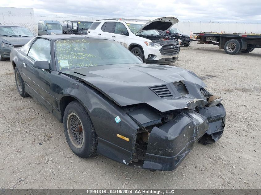 1985 Pontiac Firebird Trans Am VIN: 1G2FW87H9FN240165 Lot: 11991316