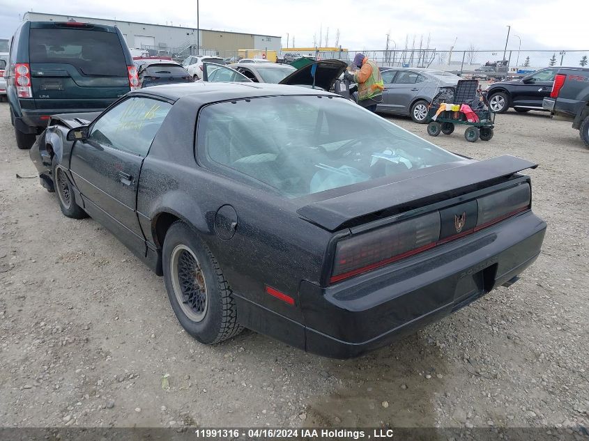 1985 Pontiac Firebird Trans Am VIN: 1G2FW87H9FN240165 Lot: 11991316