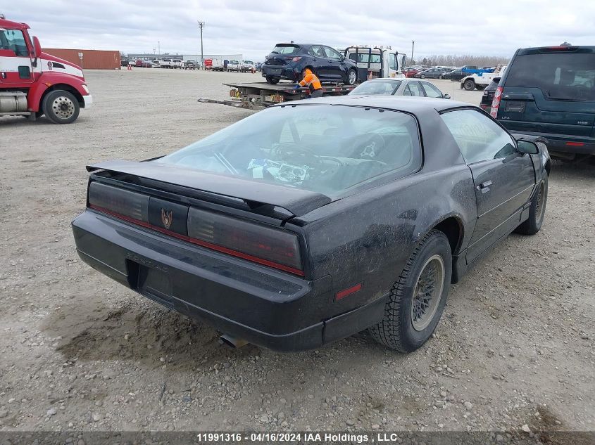 1985 Pontiac Firebird Trans Am VIN: 1G2FW87H9FN240165 Lot: 11991316