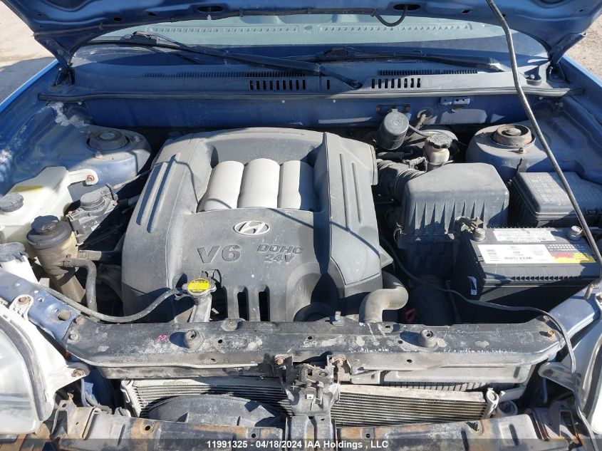 2003 Hyundai Santa Fe VIN: KM8SB13D03U406456 Lot: 39236363