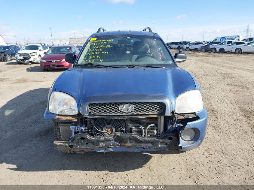2003 Hyundai Santa Fe VIN: KM8SB13D03U406456 Lot: 39236363