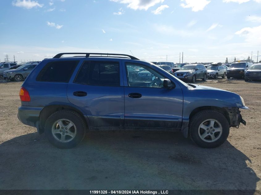 2003 Hyundai Santa Fe VIN: KM8SB13D03U406456 Lot: 39236363