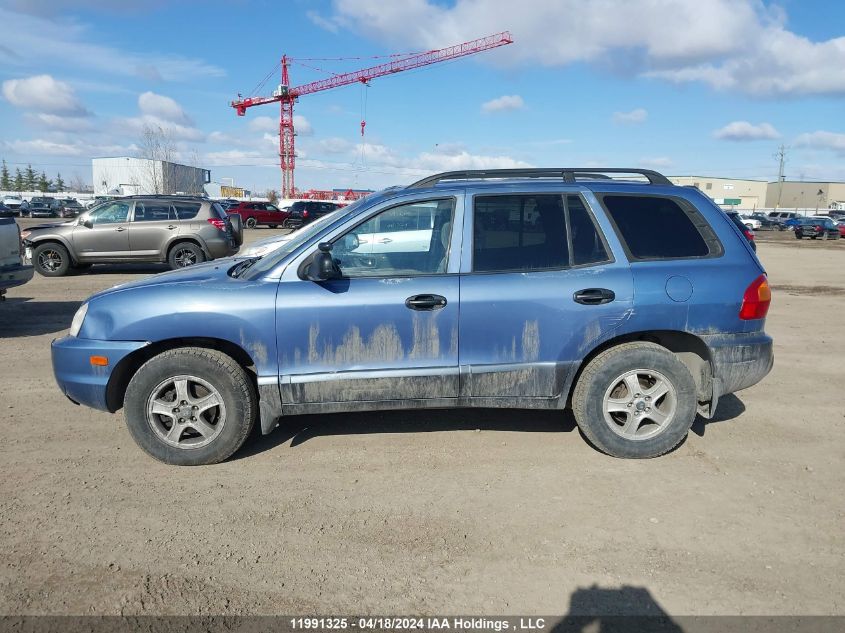 2003 Hyundai Santa Fe VIN: KM8SB13D03U406456 Lot: 39236363