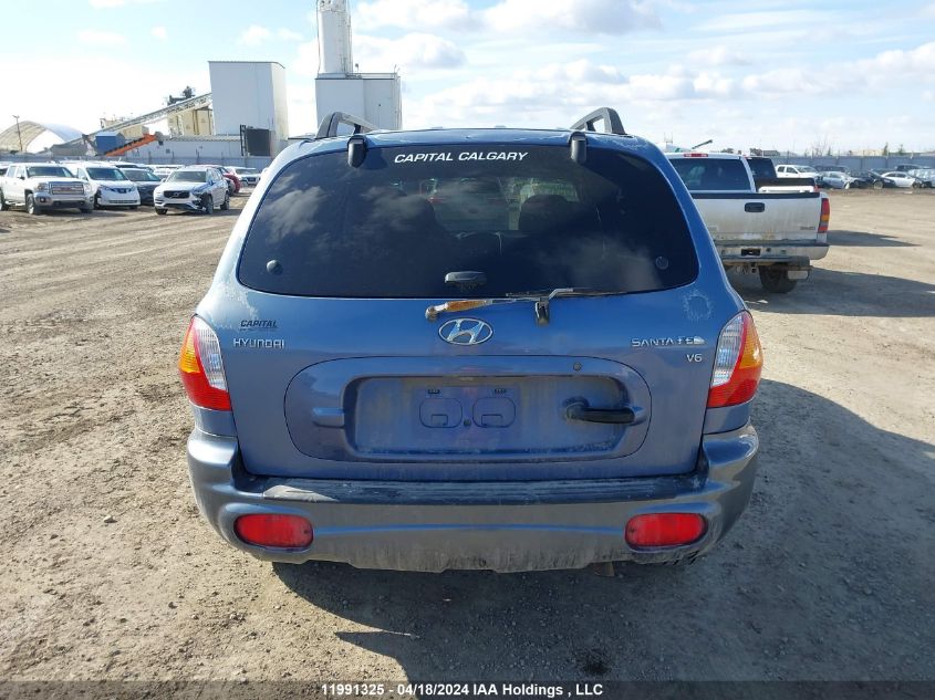 2003 Hyundai Santa Fe VIN: KM8SB13D03U406456 Lot: 39236363