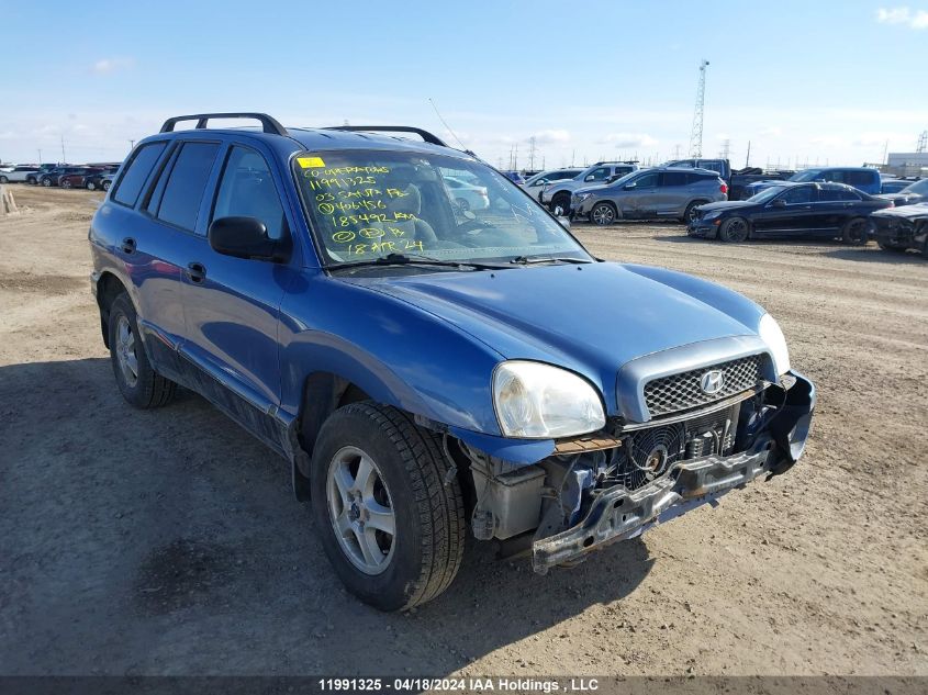2003 Hyundai Santa Fe VIN: KM8SB13D03U406456 Lot: 39236363