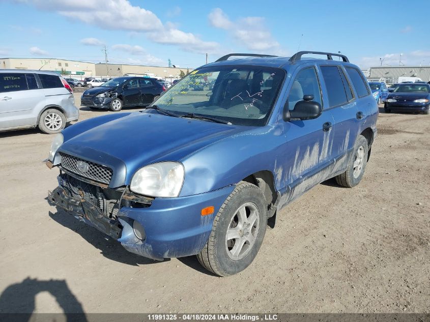 2003 Hyundai Santa Fe VIN: KM8SB13D03U406456 Lot: 39236363