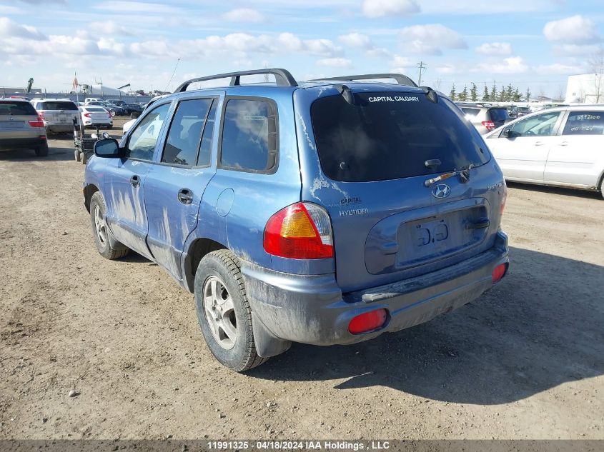 2003 Hyundai Santa Fe VIN: KM8SB13D03U406456 Lot: 39236363