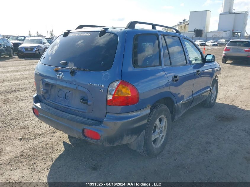 2003 Hyundai Santa Fe VIN: KM8SB13D03U406456 Lot: 39236363