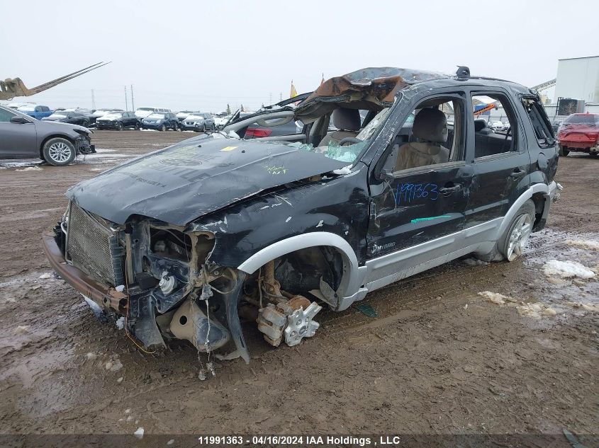 2006 Ford Escape Hybrid VIN: 1FMYU95H16KA19627 Lot: 11991363