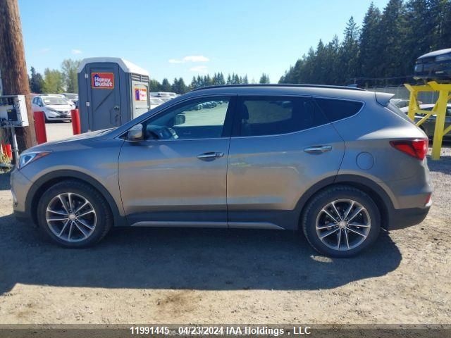 2017 Hyundai Santa Fe Sport 2.0T Limited VIN: 5XYZUDLA0HG460143 Lot: 11991445