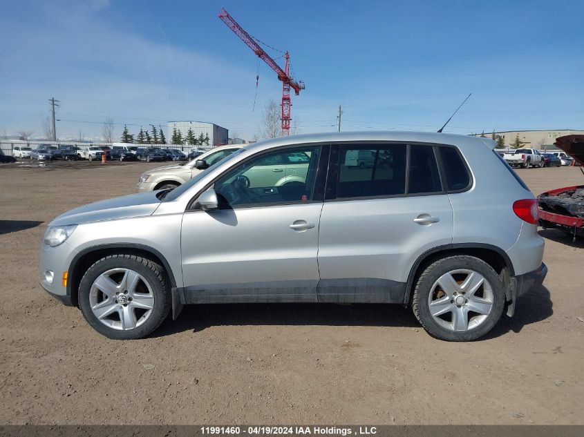 2011 Volkswagen Tiguan S/Se/Sel VIN: WVGBV7AX2BW544381 Lot: 39241436