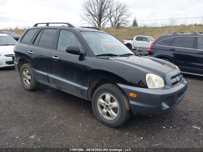 2006 Hyundai Santa Fe VIN: KM8SB73E66U037036 Lot: 11991568