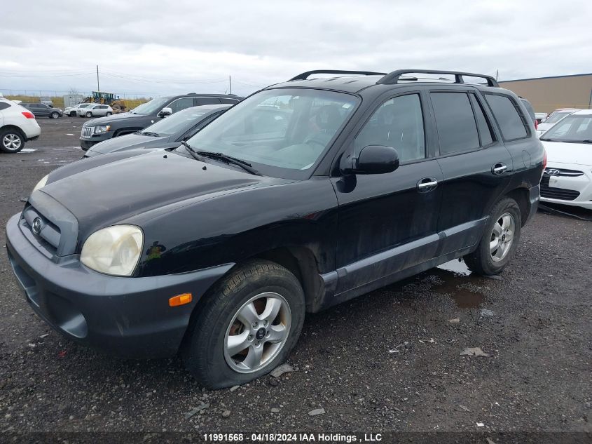 2006 Hyundai Santa Fe VIN: KM8SB73E66U037036 Lot: 11991568