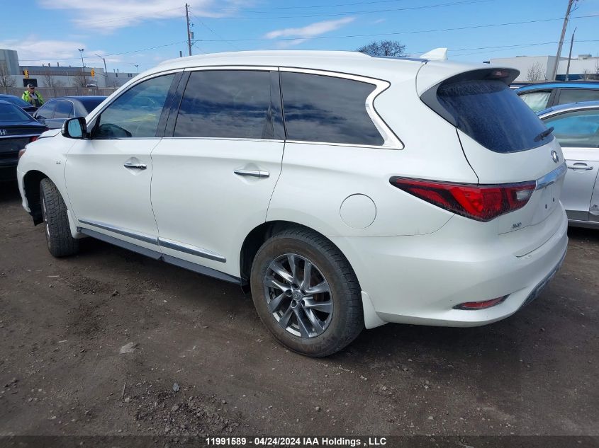 2020 Infiniti Qx60 VIN: 5N1DL0MM1LC503704 Lot: 11991589