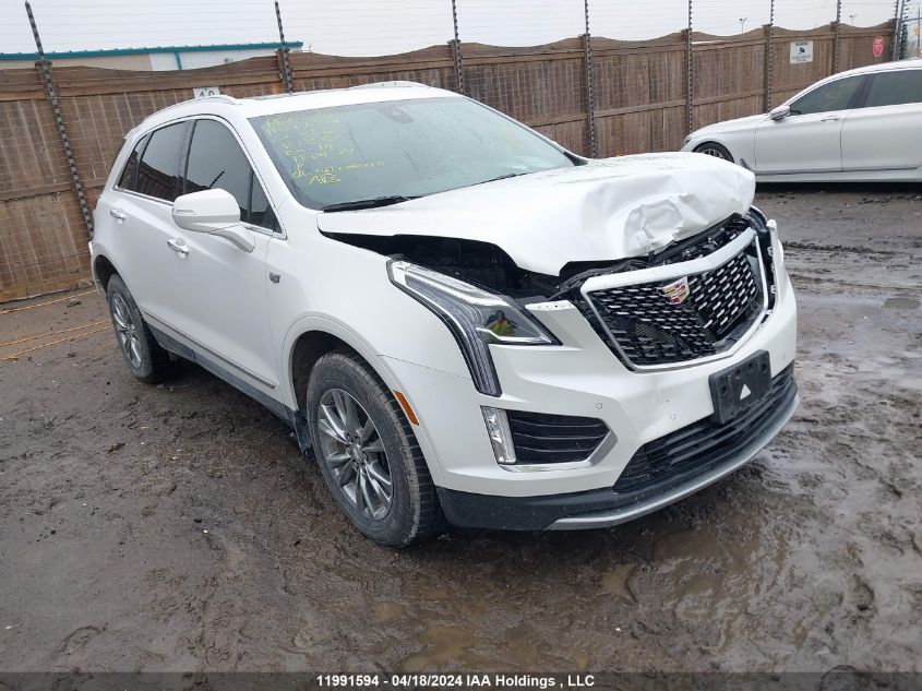 2023 Cadillac Xt5 VIN: 1GYKNDRS0PZ185186 Lot: 11991594