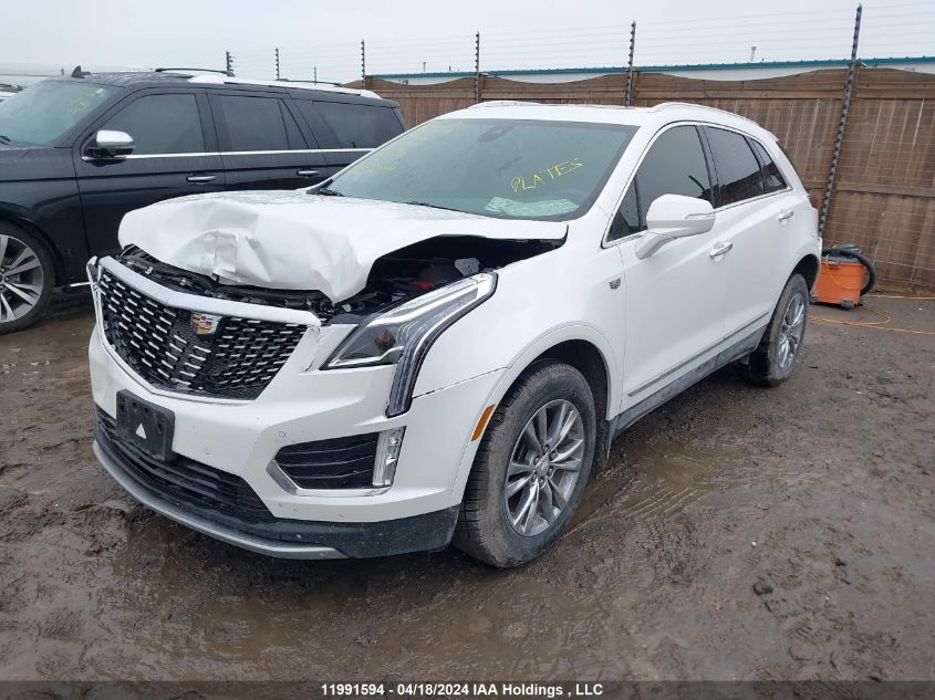 2023 Cadillac Xt5 VIN: 1GYKNDRS0PZ185186 Lot: 11991594