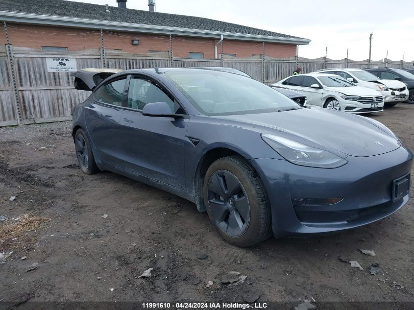 2023 Tesla Model 3 VIN: LRW3E1FA3PC900286 Lot: 11991610