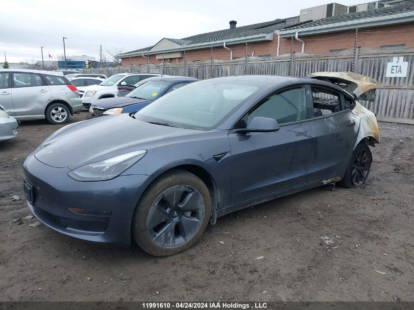 2023 Tesla Model 3 VIN: LRW3E1FA3PC900286 Lot: 11991610