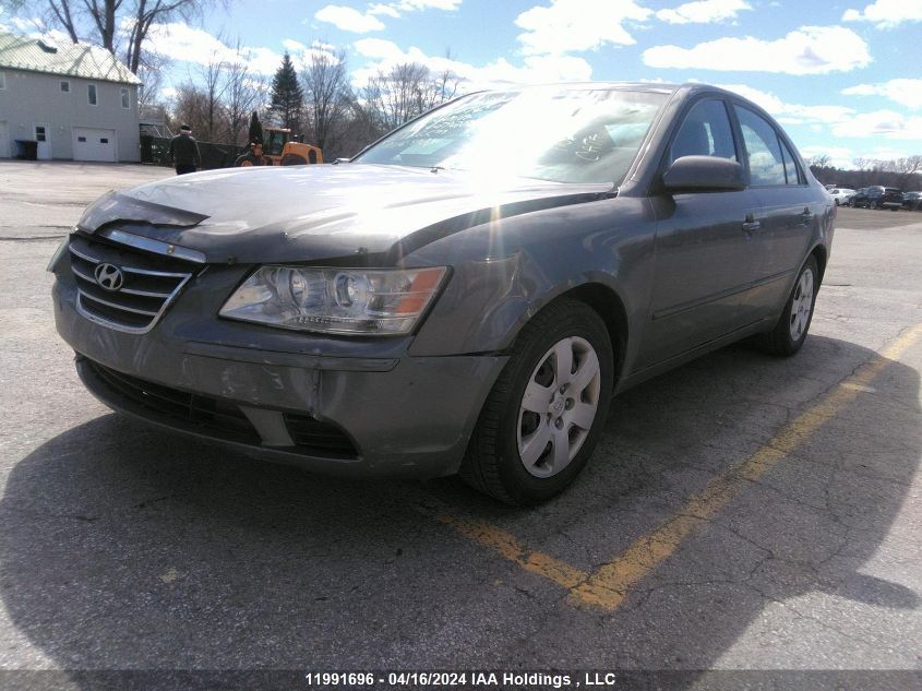 2010 Hyundai Sonata Gls VIN: 5NPET4AC7AH629286 Lot: 11991696