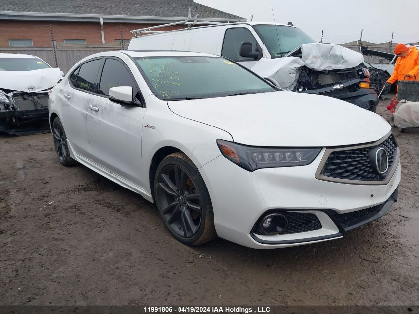 2019 Acura Tlx VIN: 19UUB3F83KA802535 Lot: 11991805