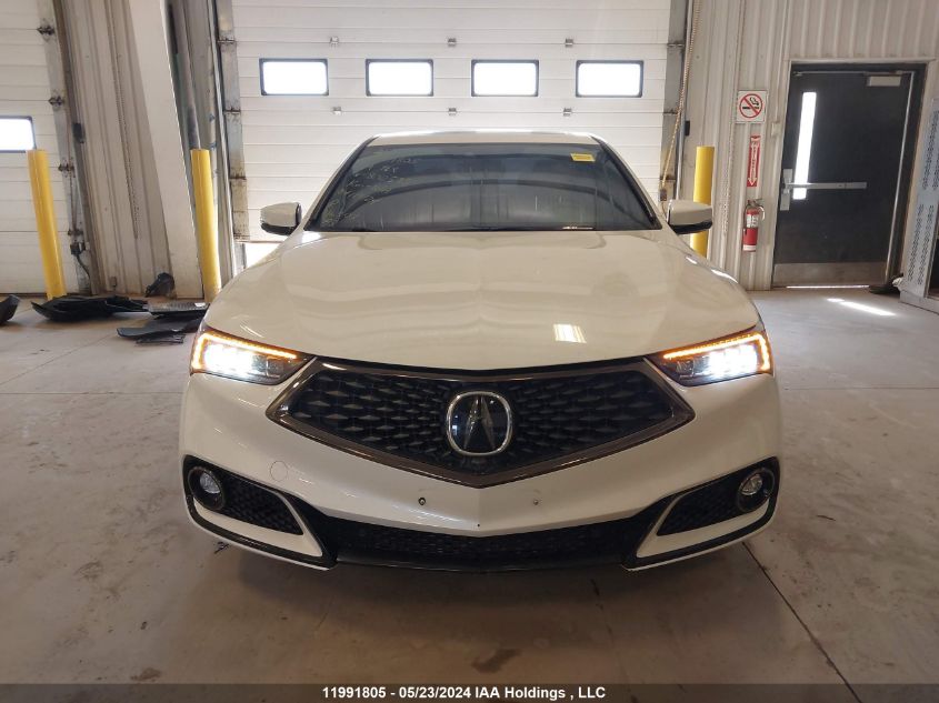 2019 Acura Tlx VIN: 19UUB3F83KA802535 Lot: 11991805