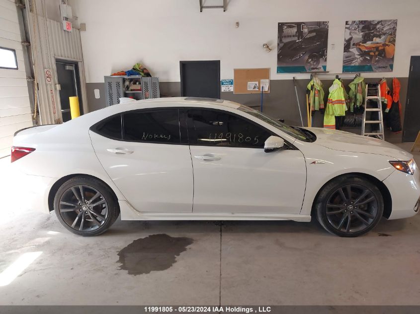 2019 Acura Tlx VIN: 19UUB3F83KA802535 Lot: 11991805