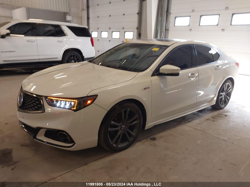 2019 Acura Tlx VIN: 19UUB3F83KA802535 Lot: 11991805