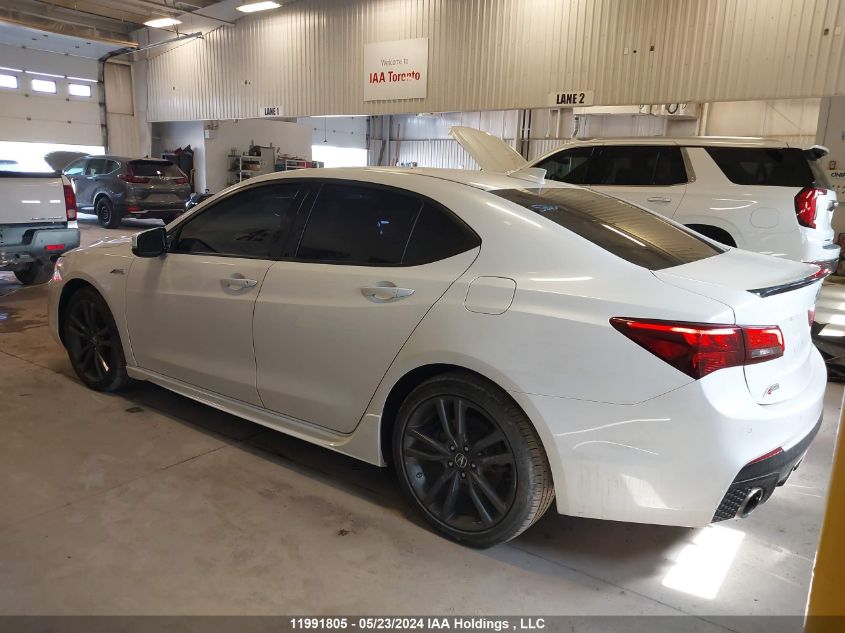 2019 Acura Tlx VIN: 19UUB3F83KA802535 Lot: 11991805