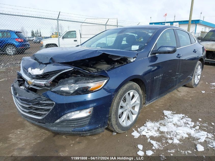 2021 Chevrolet Malibu VIN: 1G1ZD5ST3MF033358 Lot: 11991808