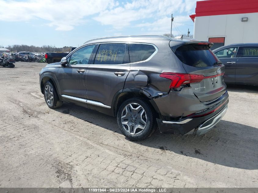 2023 Hyundai Santa Fe Limited VIN: KM8S5DA19PU098727 Lot: 11991944