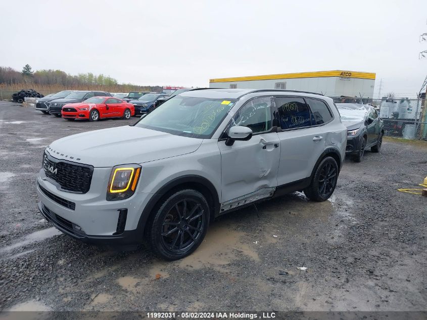 2022 Kia Telluride Sx VIN: 5XYP5DHCXNG206773 Lot: 11992031