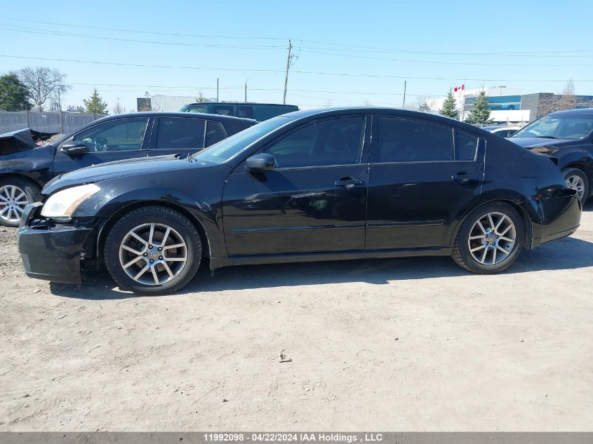 2008 Nissan Maxima 3.5 Se/3.5 Sl VIN: 1N4BA41E18C829795 Lot: 11992098