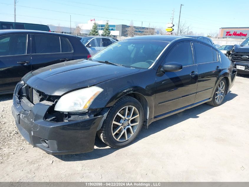 2008 Nissan Maxima 3.5 Se/3.5 Sl VIN: 1N4BA41E18C829795 Lot: 11992098