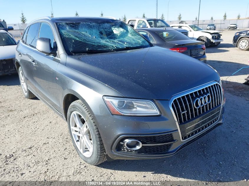 2013 Audi Q5 VIN: WA1MGCFP1DA041864 Lot: 48618594