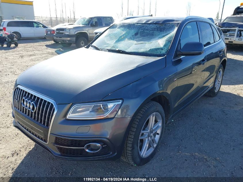 2013 Audi Q5 VIN: WA1MGCFP1DA041864 Lot: 48618594