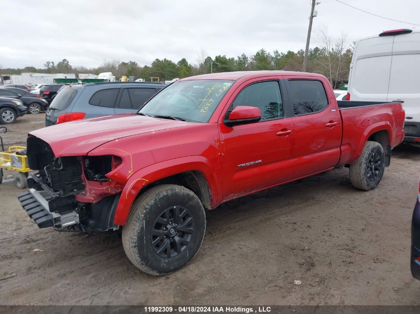 2023 Toyota Tacoma Double Cab/Sr5/Trd Sport/Trd Off Road VIN: 3TYDZ5BN6PT031021 Lot: 11992309