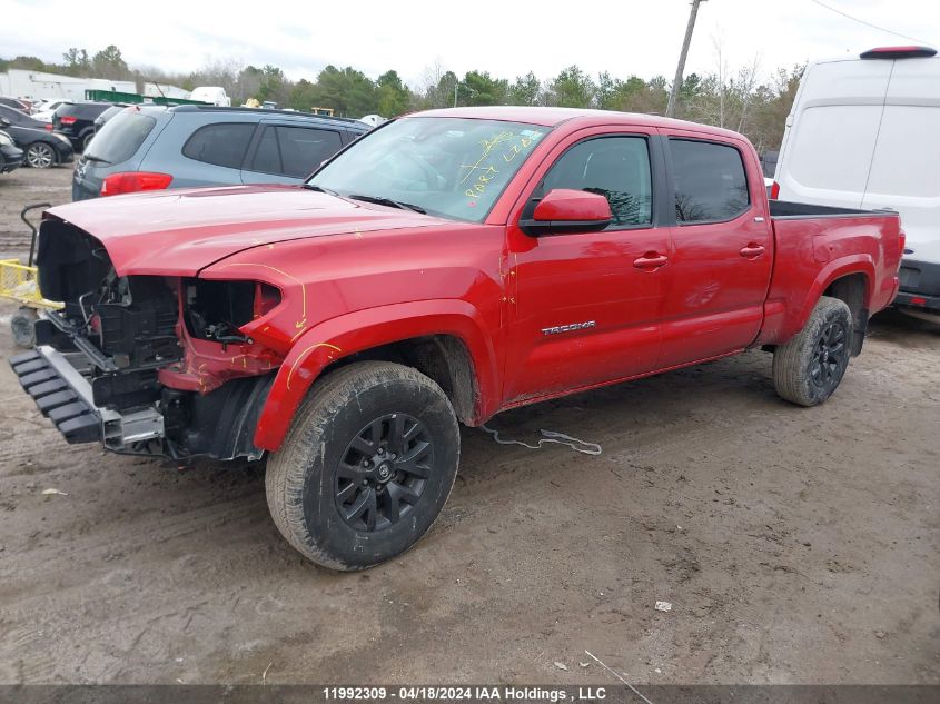 2023 Toyota Tacoma Double Cab/Sr5/Trd Sport/Trd Off Road VIN: 3TYDZ5BN6PT031021 Lot: 11992309