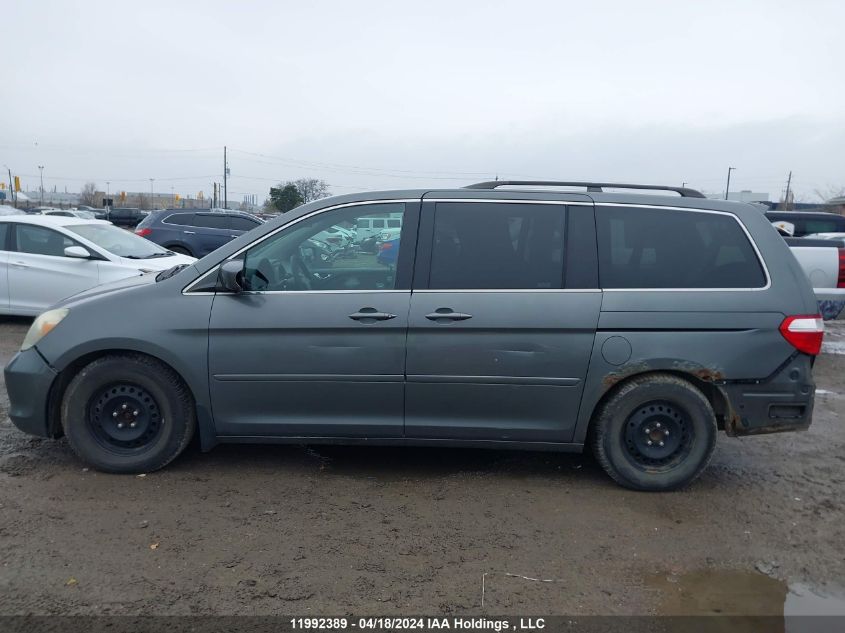 2007 Honda Odyssey Ex VIN: 5FNRL38407B506365 Lot: 11992389