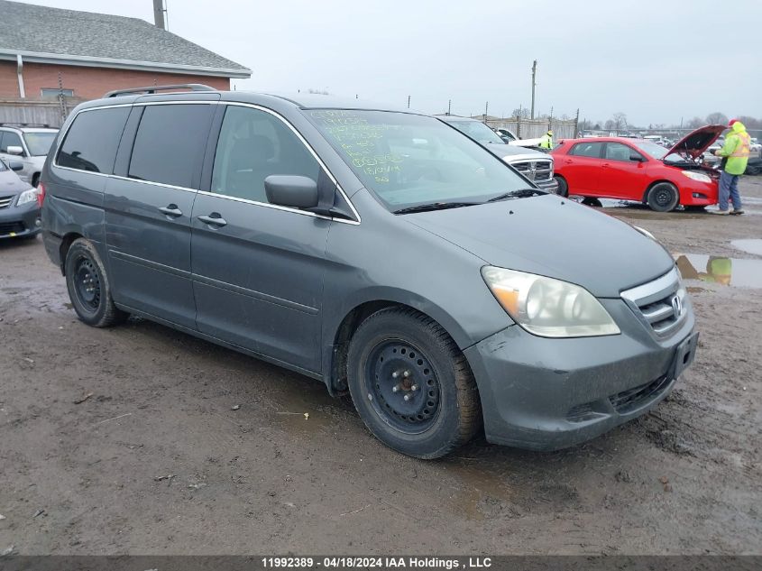 2007 Honda Odyssey Ex VIN: 5FNRL38407B506365 Lot: 11992389