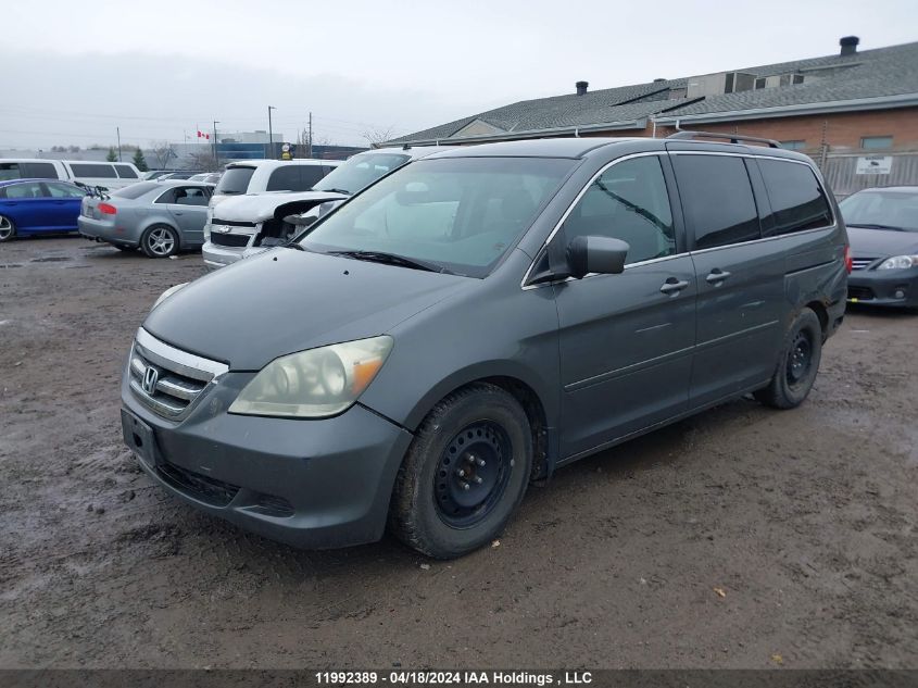 2007 Honda Odyssey Ex VIN: 5FNRL38407B506365 Lot: 11992389