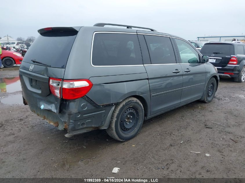 2007 Honda Odyssey Ex VIN: 5FNRL38407B506365 Lot: 11992389