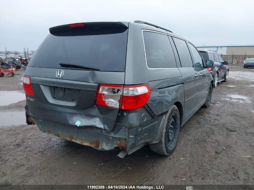 2007 Honda Odyssey Ex VIN: 5FNRL38407B506365 Lot: 11992389