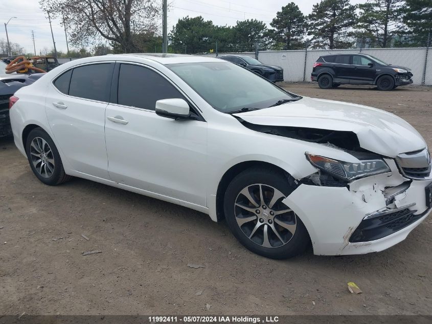 2016 Acura Tlx VIN: 19UUB1F56GA800196 Lot: 11992411