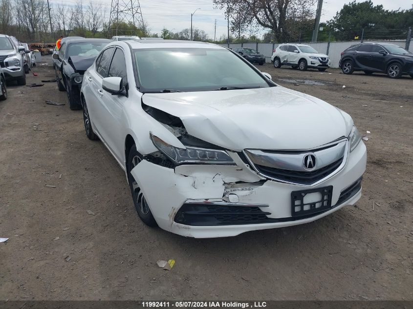 2016 Acura Tlx VIN: 19UUB1F56GA800196 Lot: 11992411