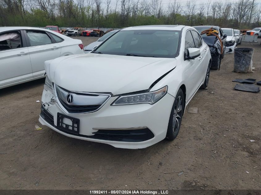 2016 Acura Tlx VIN: 19UUB1F56GA800196 Lot: 11992411